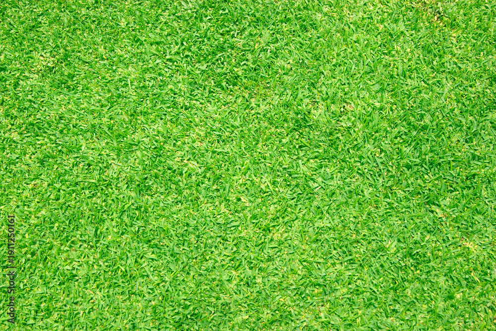 Fototapeta premium green lawn pattern textured
