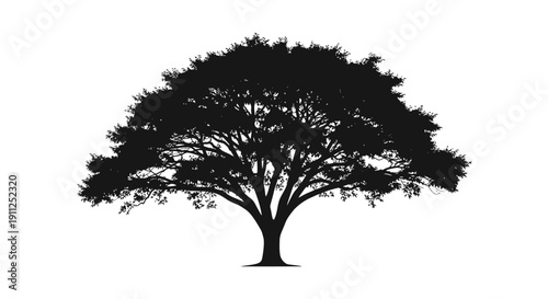Isolated black silhouette of a large, mature tree with a wide, full canopy, symbolizing nature, growth, and environment.