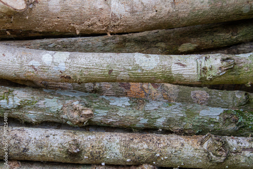 A detailed shot showing the texture and arrangement of several horizontal tree trunks or logs stacked together.