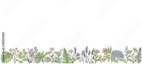 手描きボタニカル下部ボーダーフレーム／Hand Drawn Botanical Bottom Border Frame