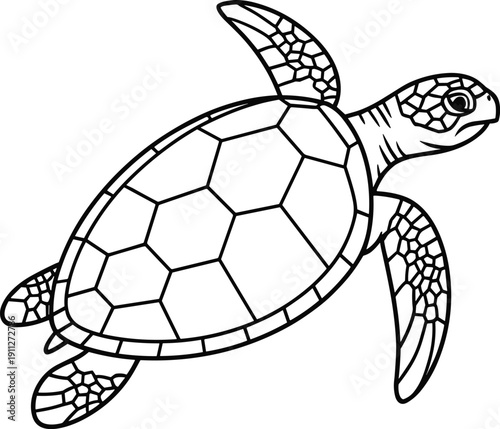 Black and white line drawing illustration of sea turtle with detailed geometric shell and flipper patterns highlighting marine wildlife design