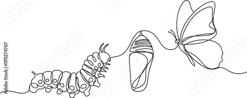 Butterfly emerging from chrysalis metamorphosis life cycle illustration