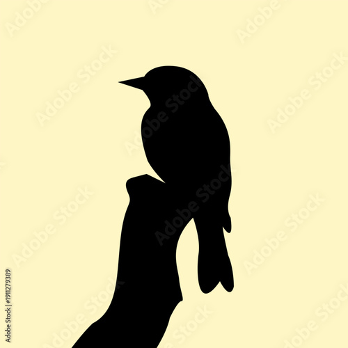 Silhouette of a bird perched on a tree branch. Icon of bird shadow in the wild. Vector illustration.