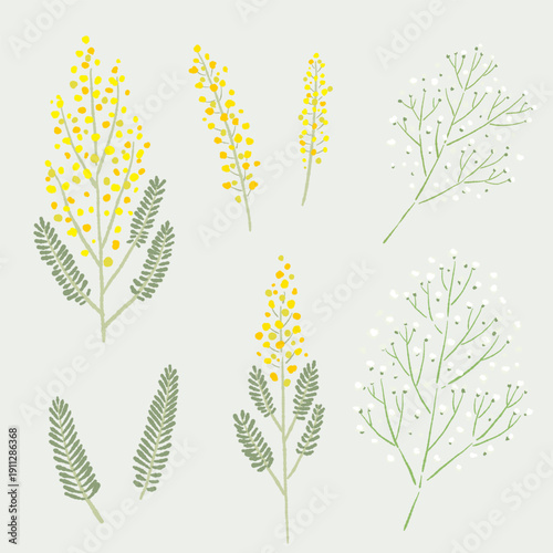Foto Spring Floral Collection of Mimosa and Baby's Breath