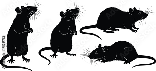 Black rat silhouettes set featuring standing and sitting rodents isolated on white background detailed whiskers vector illustration for pest control wildlife design