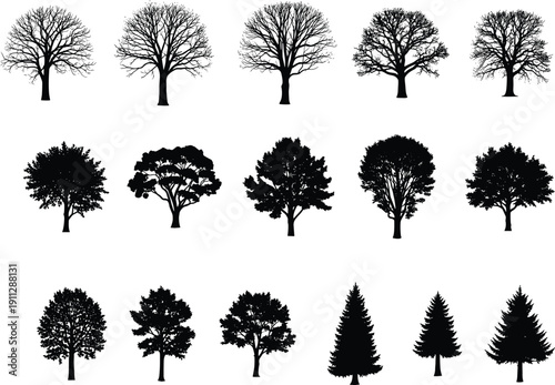  pine tree silhouette set of evergreen conifers isolated on white background for architectural cad drawing flat vector illustration design