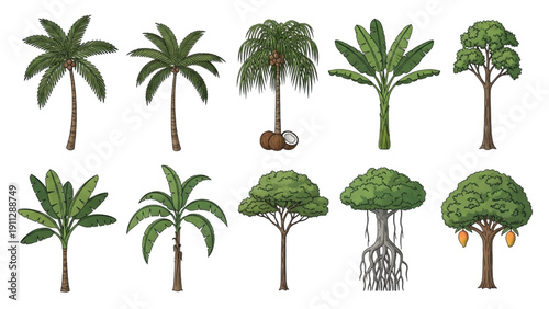 Collection of tropical trees and plants with varied shapes and sizes