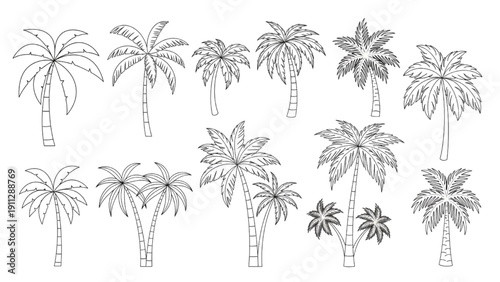 Set of diverse black and white outline palm tree illustrations for tropical design