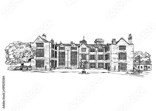 Residential Building Row Line Art Vector Illustration