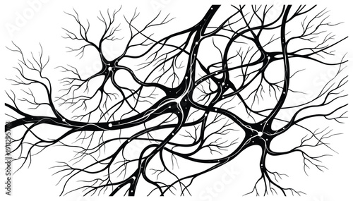 Complex network of branching neurons or nerve cells illustration vector abstract background
