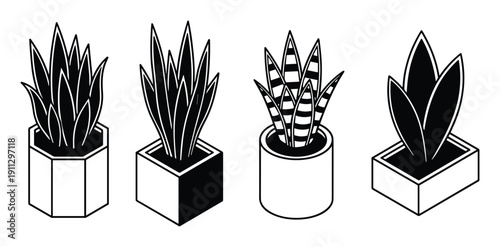 Isometric houseplant icons set with snake plants and aloe vera in modern pots