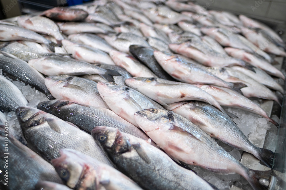 Obraz premium Fresh sea fish arranged on ice at a fish market in Sharjah, UAE. Clean display highlighting natural seafood quality, freshness, and healthy nutrition concept.
