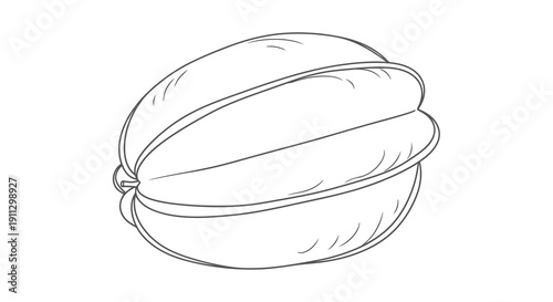 A simple line drawing of a nut or seed in its shell.