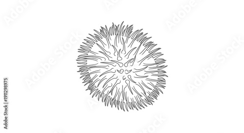 A detailed black and white drawing of a dandelion seed head against a plain white background.