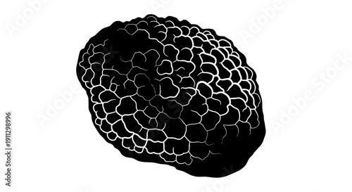 A blackberry with a unique texture and pattern on its surface is depicted.
