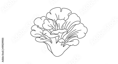 A simple line drawing of a flower with large petals on a white background.