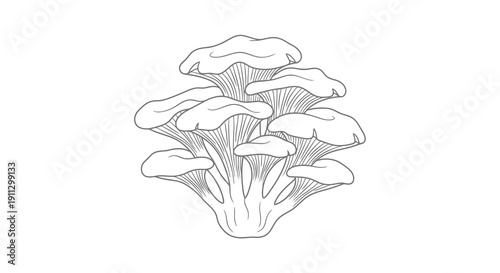 A detailed black and white illustration of a cluster of mushrooms with visible caps and stems.