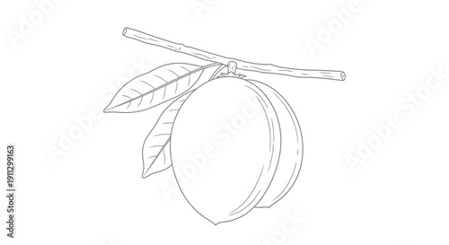 A simple line drawing of an orange with leaves attached to a stem.