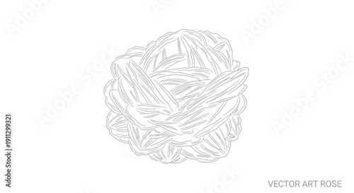 A detailed vector art illustration of a rose in black and white.