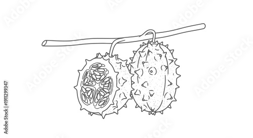 A simple line drawing of two durian fruits hanging from a stick.