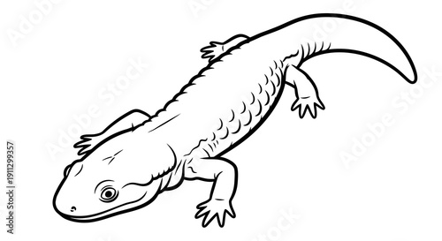 A simple black and white illustration of an axolotl on a white background.