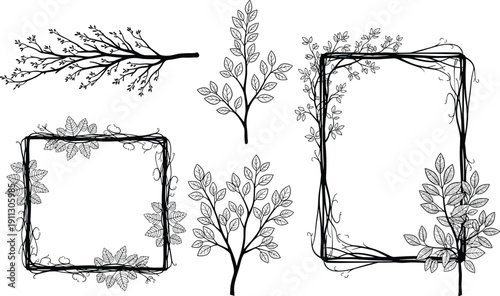Collection of hand-drawn botanical frames and leafy branches, elegant floral border designs perfect for invitations, decorative artwork and natural-themed graphic projects