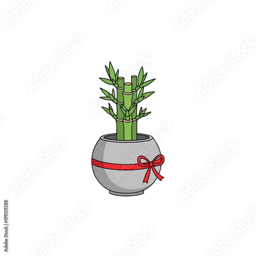 Bamboo plant in a gray pot with a red ribbon tied around it, viewed from the front