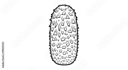 A detailed black and white illustration of a textured oval object with spiky edges