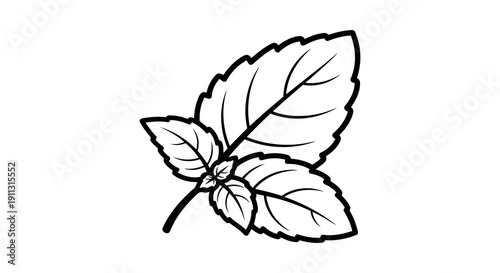 A simple black and white drawing of a stem with three leaves on a white background.