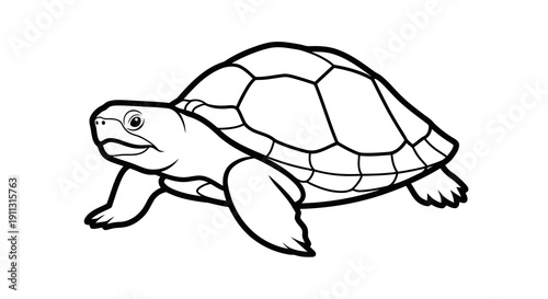 A simple black and white line drawing of a turtle in a walking position.