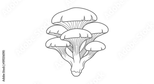 A simple line drawing of a cluster of mushrooms with visible gills.