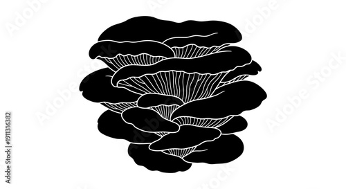 A black and white illustration of a cluster of mushrooms.