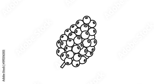 A simple illustration of a cluster of grapes hanging from a stem.