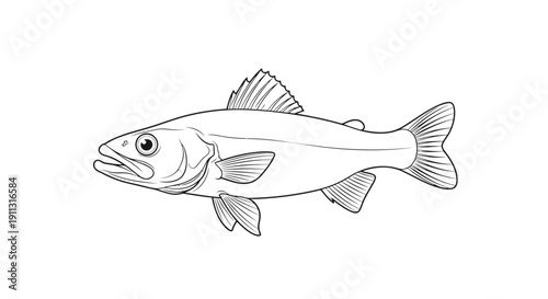 A simple line drawing of a fish with visible fins and scales.