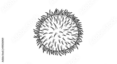 A simple black and white illustration of a spiky circular object on a plain white background.