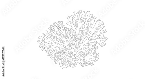 A delicate black and white illustration of a flower or ornate design on a white background.