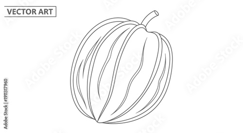 A simple line drawing of a cacao pod in vector art style.