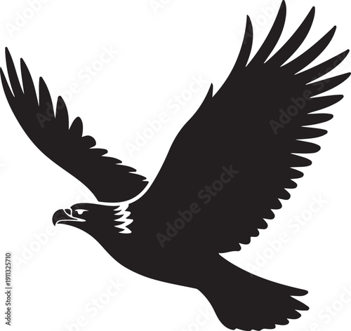 Eagle Silhouette – Soaring Eagle Vector Black on White