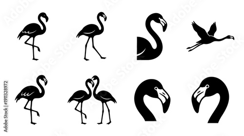 flamingo , black vector icon set collection , white background , SVG and PNG