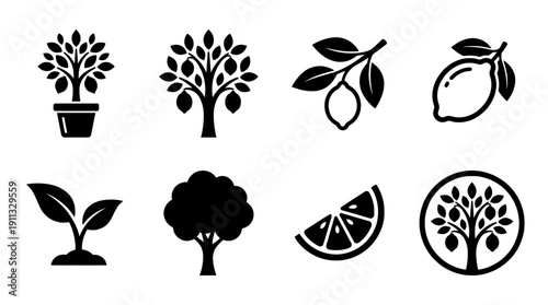 lemon tree , black vector icon set collection , white background , SVG and PNG