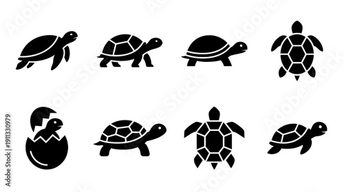 turtle , black vector icon set collection , white background , SVG and PNG