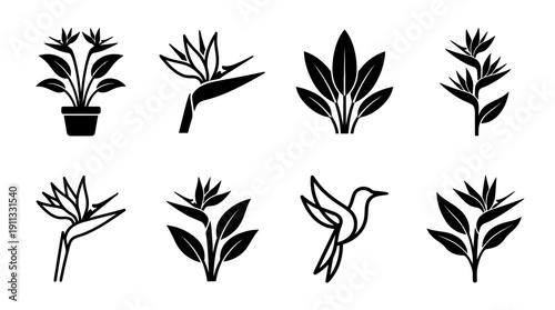 bird of paradise , black vector icon set collection , white background , SVG and PNG
