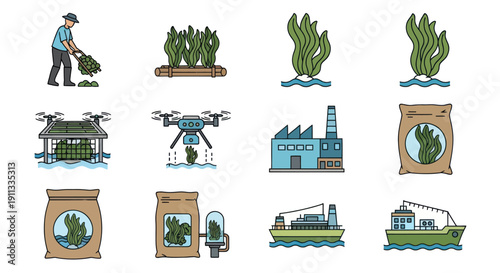 Seaweed Industry Icons: Farming Harvesting Processing and Transport.