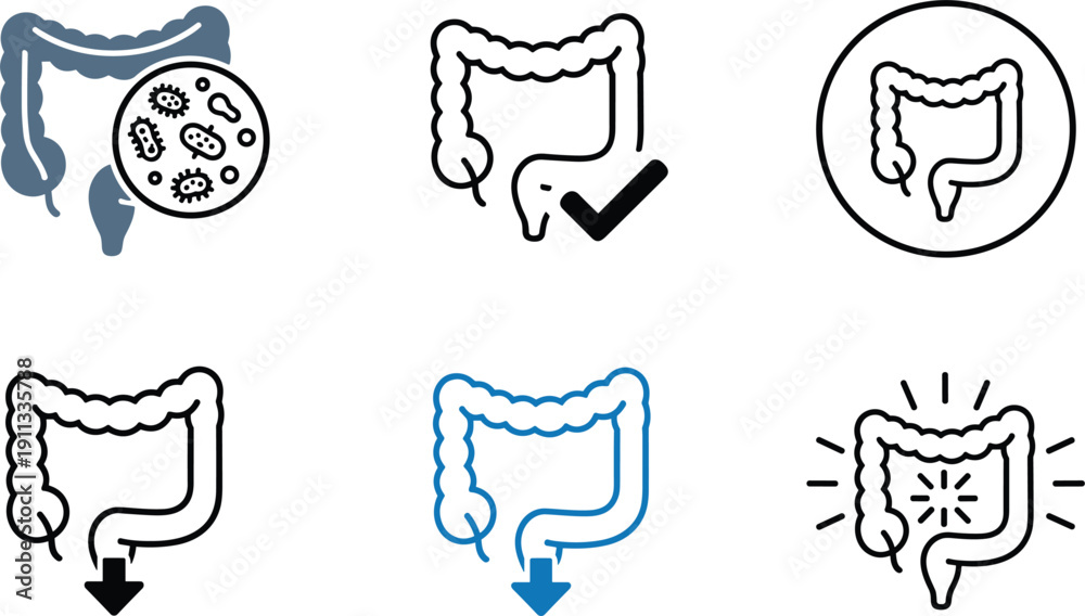 Fototapeta premium Digestive system intestine icon set with bacteria check mark and arrows vector medical outline collection