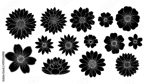Decorative wild black flower shapes vector collection