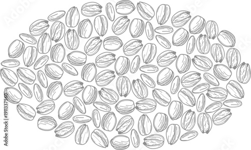 Pistachio Nut Seamless Pattern. Hand Drawn Pistachio Doodle  for Packaging Design. Pistachio Doodle Pattern. Sketch Vector Background