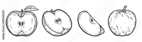 Apple set, four fruits, half, cut, quarter, whole apple, with leaf, seeds, engraving, black and white, isolated