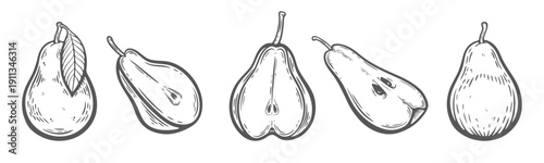 Pear set, five fruits, half, cut, quarter, whole pears, with leaf, seeds, engraving isolated