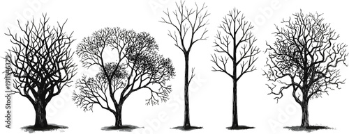 Detailed circular tree of life illustration with intricate root system and leaves, black and white nature vector design isolated on white.