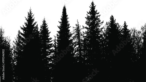 Detailed circular tree of life illustration with intricate root system and leaves, black and white nature vector design isolated on white.